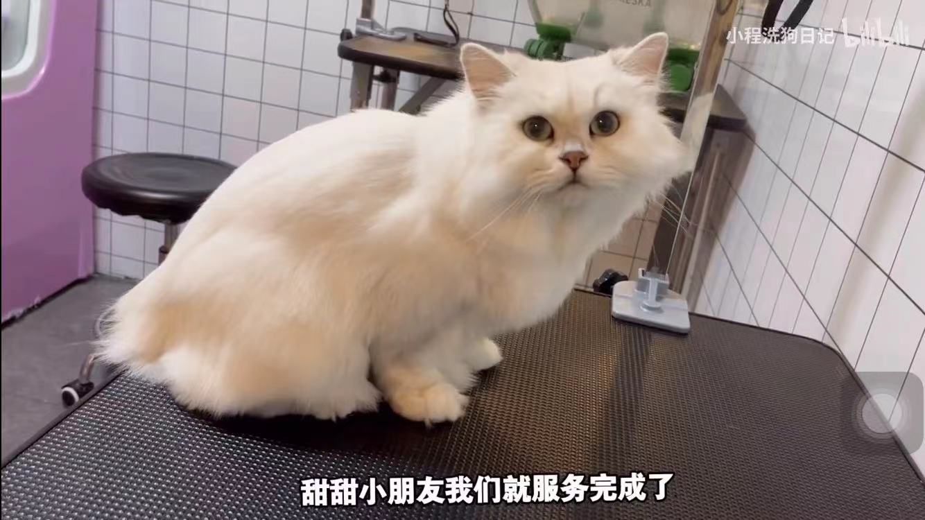 微信图片_20211118092613