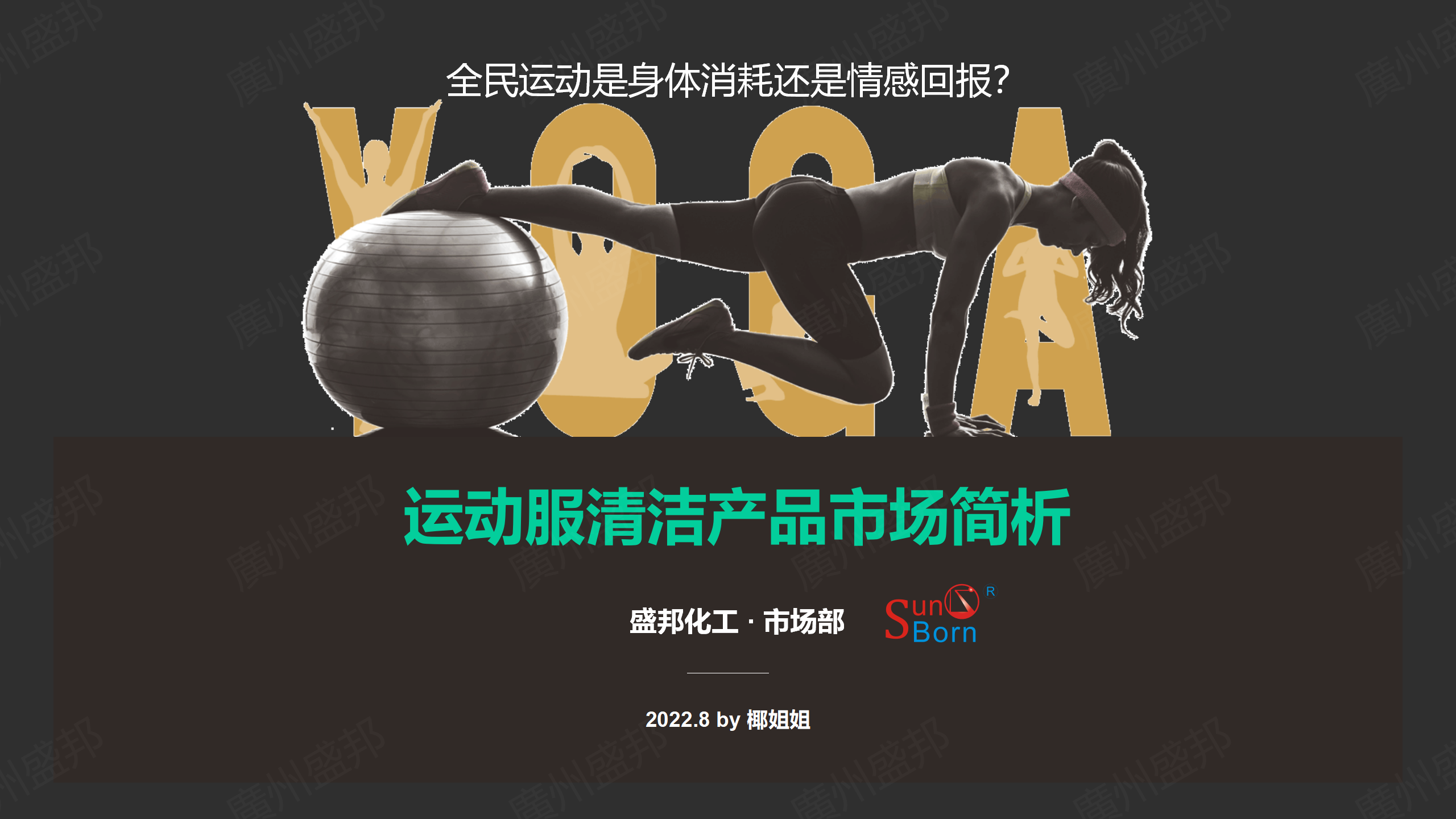 运动服洗衣产品市场简析-修改_01